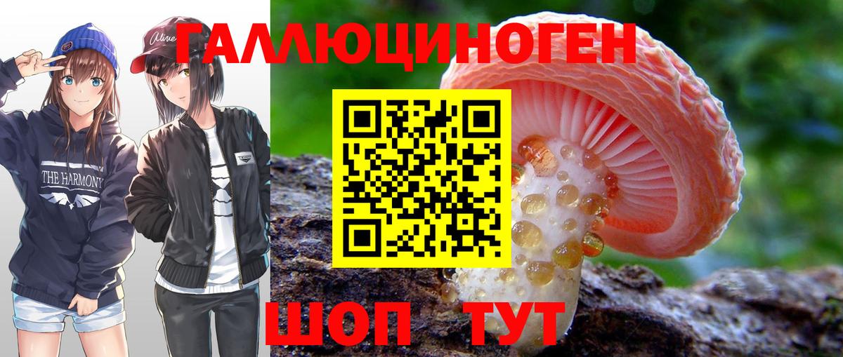Галлюциногенные грибы Psilocybe  Вход с VPN  что такое наркотик  Кинель 